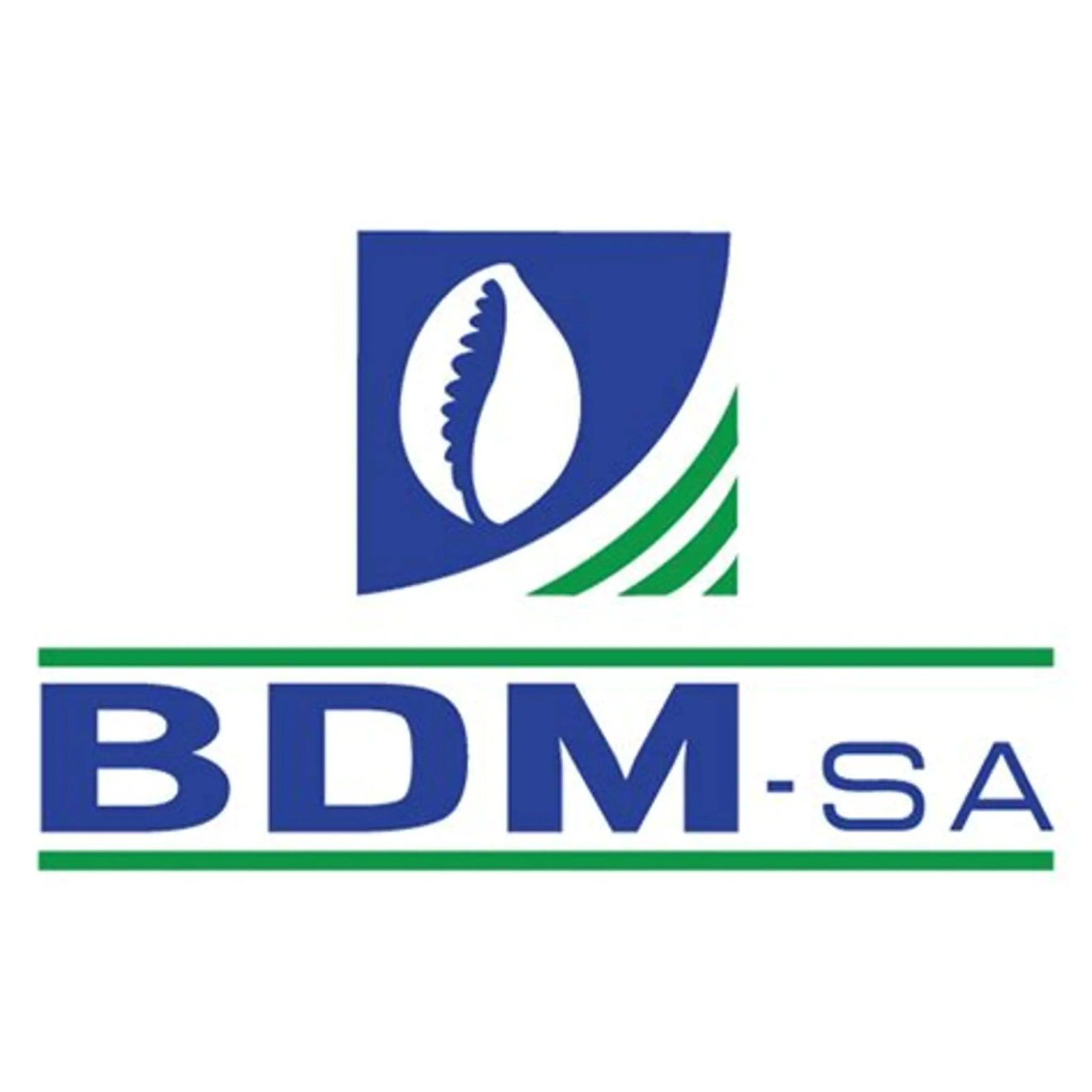 BDM SA
